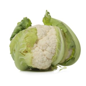 Cauliflower Species Brassica  the genus